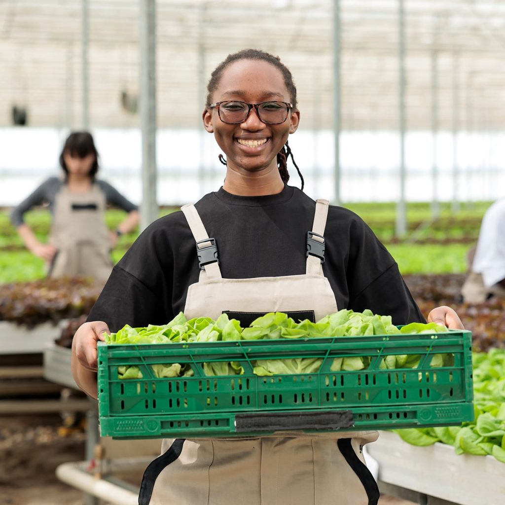 happy-cheerful-african-american-farm-worker-holding-crate-full-local-eco-friendly-ripe-leafy-greens-from-sustainable-crop-harvest-entrepreneurial-bio-permaculture-greenhouse-farm