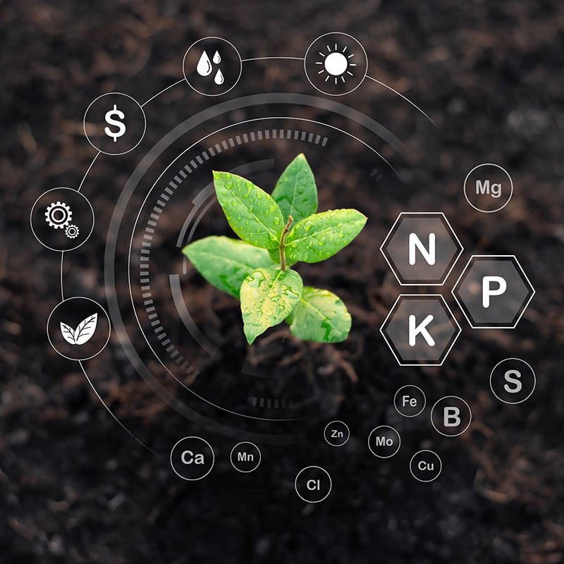 seedlings-are-growing-from-fertile-soil-environmental-concepts